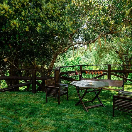 فيلة Fioraki